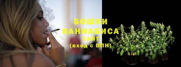 ешки Нижний Тагил