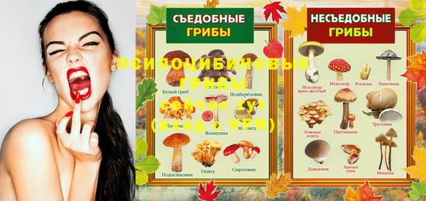 дмт Коряжма