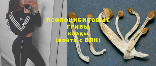 прущие крисы Краснослободск