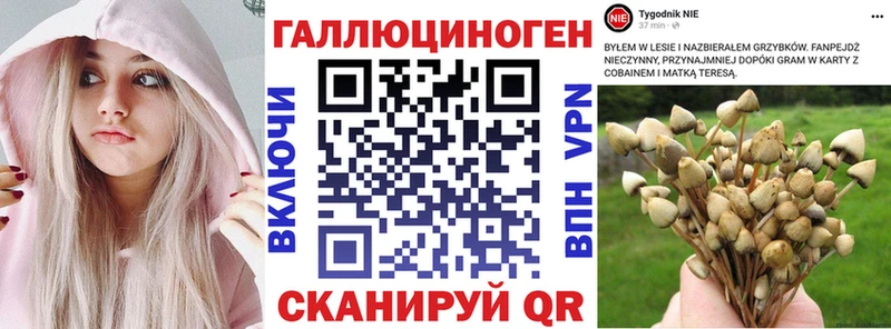 Псилоцибиновые грибы Psilocybe  darknet официальный сайт  Яблоновский  как найти закладки 